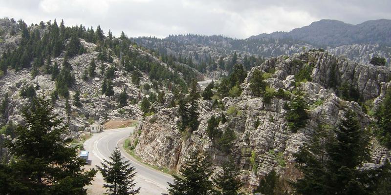Arazi5