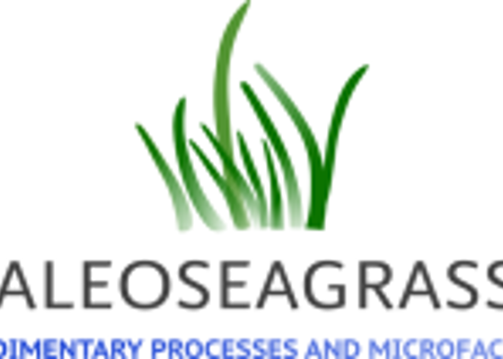 Palaeoseagrass