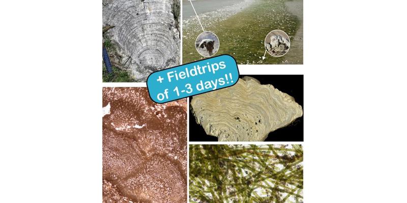 MFED 27 Images