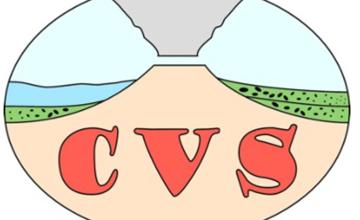 CVS.jpg
