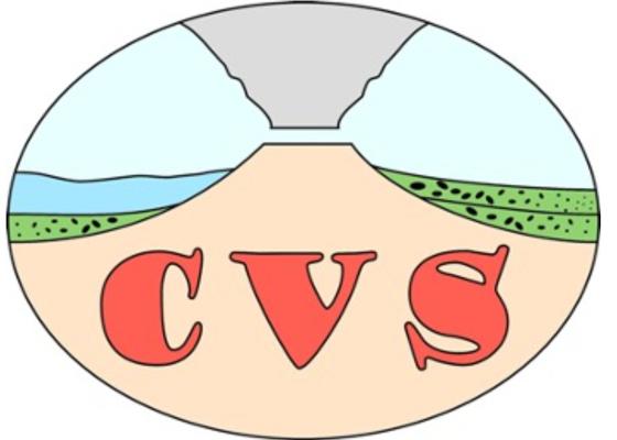 CVS.jpg